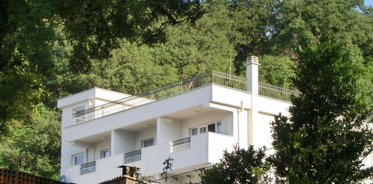 Villa Slovenika Budva Exterior photo